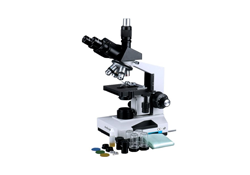Compound Trinocular Microscope