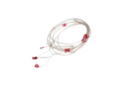 Pristine Blood Line