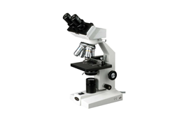 Compound Binocular Microscope
