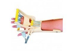 Cock up Splint with Finger