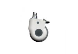 Castors-5